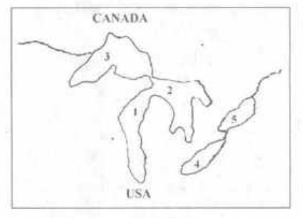 Question image 1
