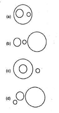 Question image 1