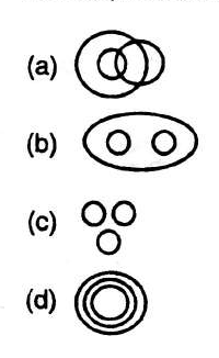 Question image 1